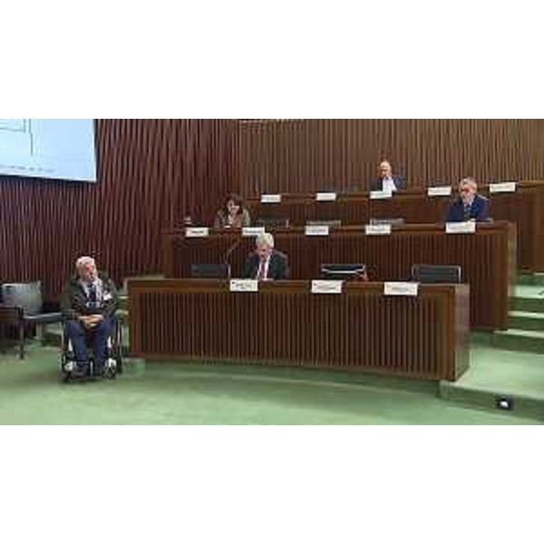 Le audizioni in III Commissione consiliare con il Comitato paralimpico - Le audizioni in III Commissione consiliare con il Comitato paralimpico