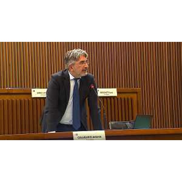 Antonio Calligaris (Lega) - Antonio Calligaris (Lega)