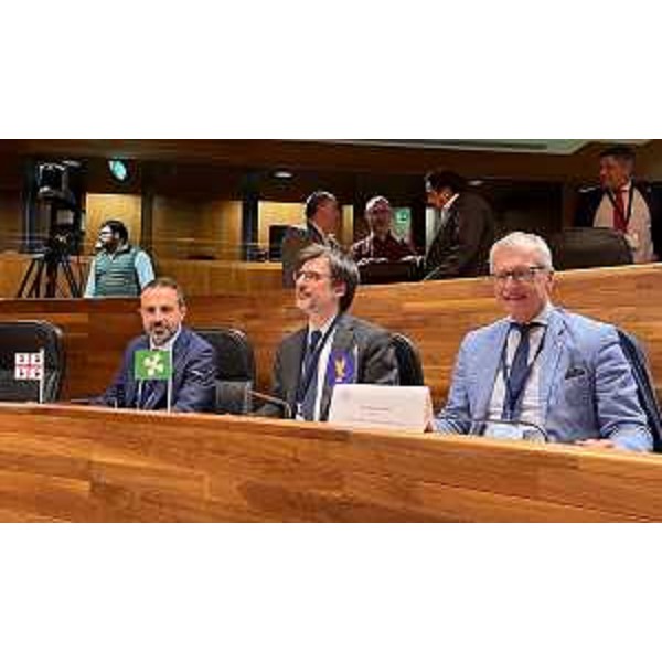 Il presidente del Consiglio regionale del Fvg, Piero Mauro Zanin, durante la conferenza del Calre - Il presidente del Consiglio regionale del Fvg, Piero Mauro Zanin, durante la conferenza del Calre