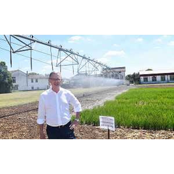 L'assessore regionale Stefano Zannier - L'assessore regionale Stefano Zannier