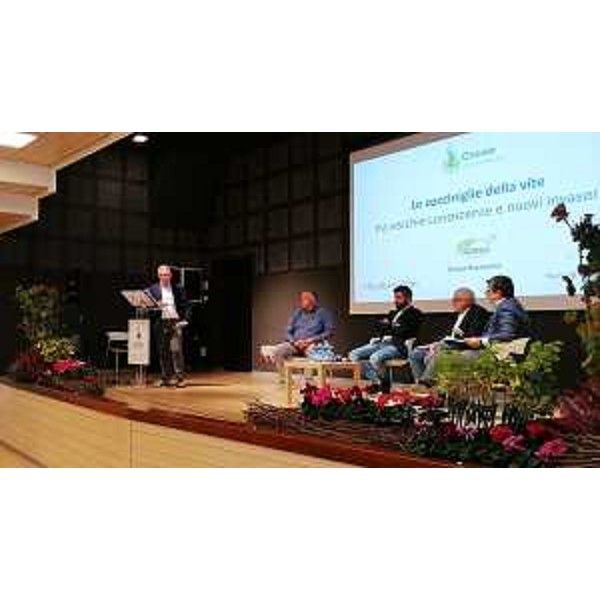 L'assessore regionale Stefano Zannier - L'assessore regionale Stefano Zannier