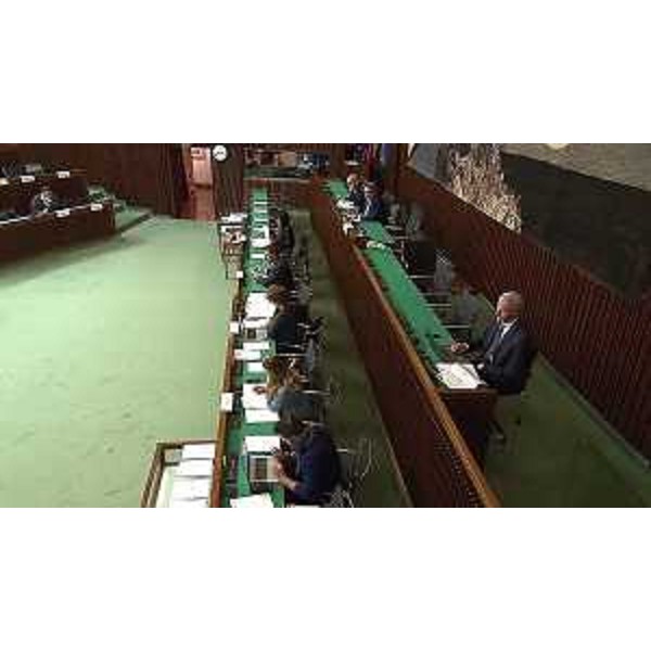 La II Commissione presieduta da Alberto Budai (Lega) e l'assessore al Lavoro, Alessia Rosolen - La II Commissione presieduta da Alberto Budai (Lega) e l'assessore al Lavoro, Alessia Rosolen