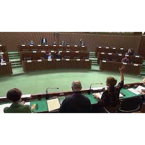 La votazione del parere al ddl 173 Disabilità in IV Commissione - La votazione del parere al ddl 173 Disabilità in IV Commissione