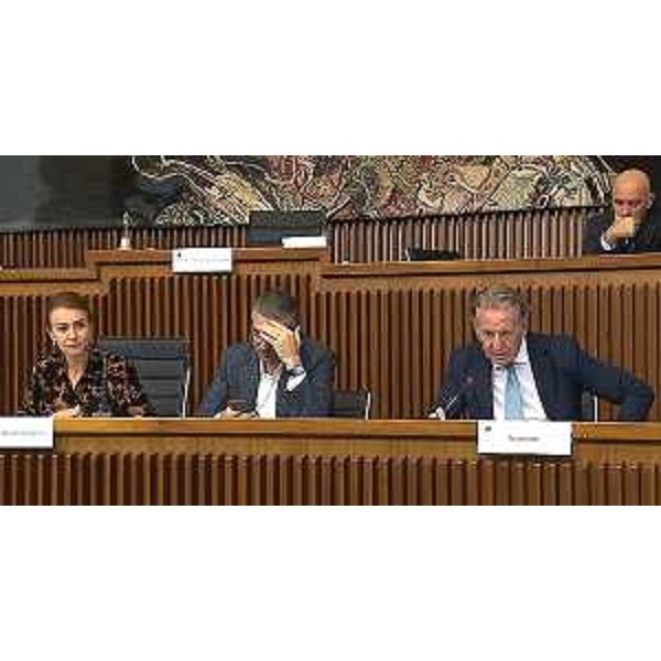 L'assessore Fabio Scoccimarro (primo da destra) accanto al collega Pierpaolo Roberti e alla presidente della IV Commissione, Mara Piccin (FI) - L'assessore Fabio Scoccimarro (primo da destra) accanto al collega Pierpaolo Roberti e alla presidente della IV Commissione, Mara Piccin (FI)