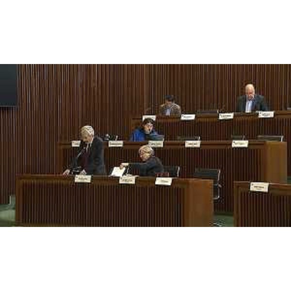 L'intervento di Furio Honsell (Open Sinistra Fvg); al suo fianco Simona Liguori (Cittadini) - L'intervento di Furio Honsell (Open Sinistra Fvg); al suo fianco Simona Liguori (Cittadini)