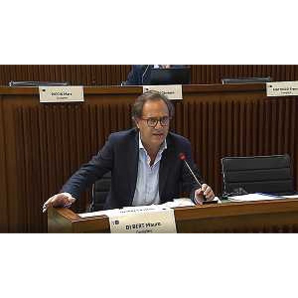 Mauro Di Bert (Progetto Fvg/Ar) - Mauro Di Bert (Progetto Fvg/Ar)