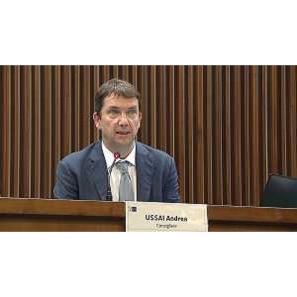 Andrea Ussai (M5S) - Andrea Ussai (M5S)