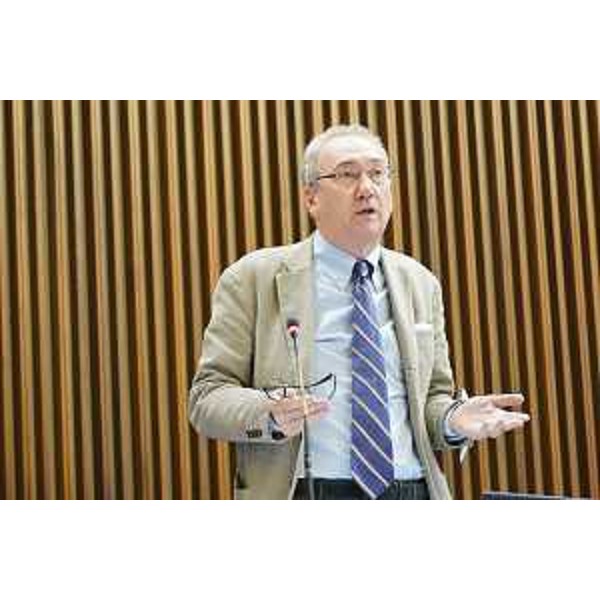 Sergio Bolzonello (Pd) - Sergio Bolzonello (Pd)