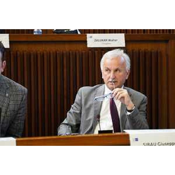 Giuseppe Sibau (Progetto Fvg/Ar) - Giuseppe Sibau (Progetto Fvg/Ar)