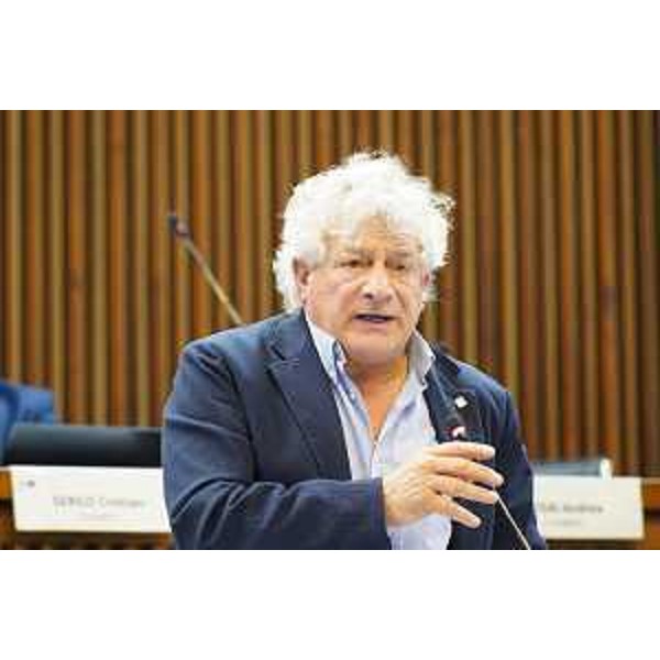 Elia Miani (Lega) - Elia Miani (Lega)