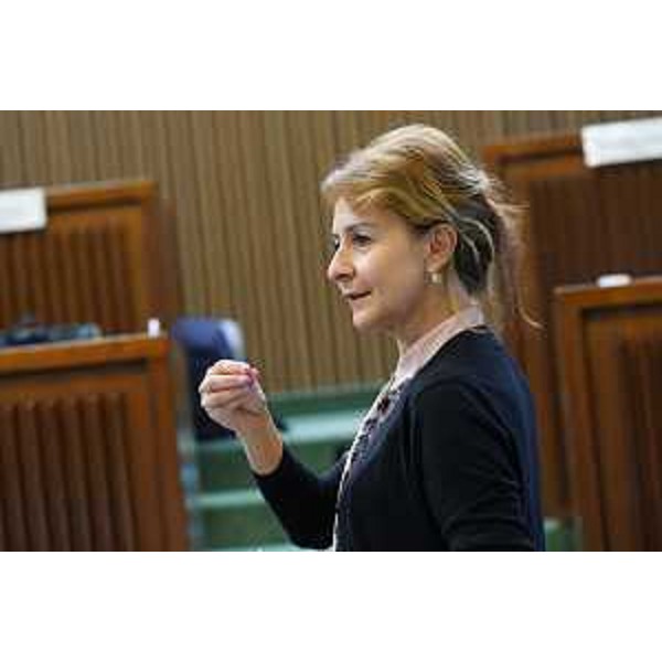 Mara Piccin (FI) - Mara Piccin (FI)