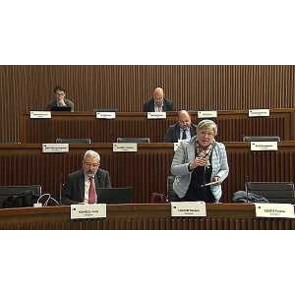 I consiglieri regionali Furio Honsell (Open Fvg) e Simona Liguori (cittadini) in prima fila, dietro di loro Diego Moretti (Pd) - I consiglieri regionali Furio Honsell (Open Fvg) e Simona Liguori (cittadini) in prima fila, dietro di loro Diego Moretti (Pd)