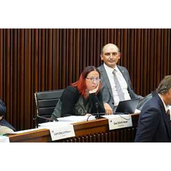 Cristian Sergo e Ilaria Dal Zovo (M5S) - Cristian Sergo e Ilaria Dal Zovo (M5S)