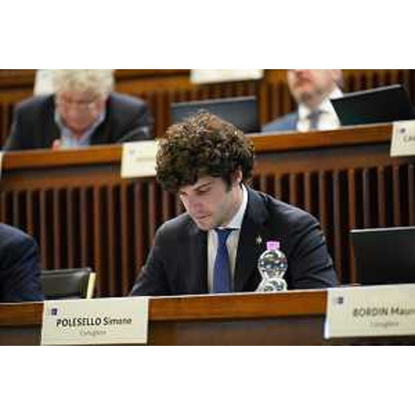 Simone Polesello (Lega) - Simone Polesello (Lega)