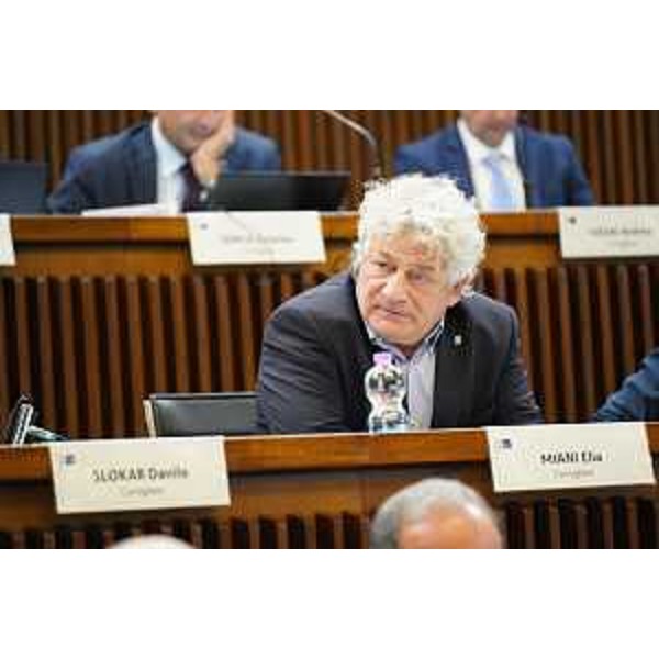 Elia Miani (Lega) - Elia Miani (Lega)