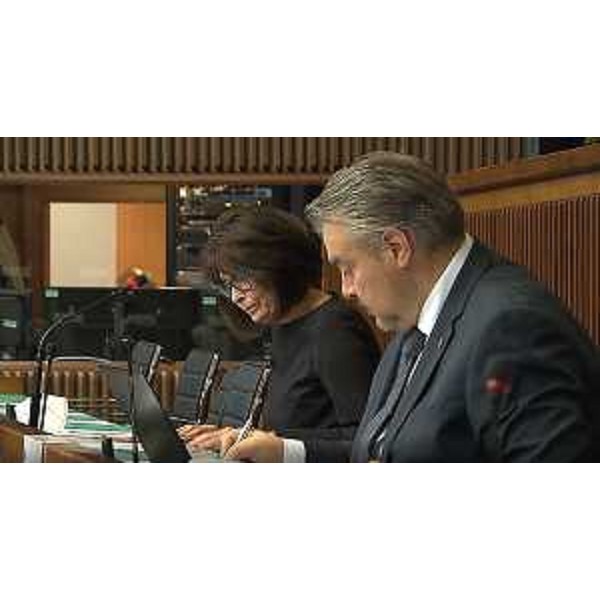 L'assessore regionale alla Formazione, Alessia Rosolen con il presidente della V Commissione, Diego Bernardis (Lega) - L'assessore regionale alla Formazione, Alessia Rosolen con il presidente della V Commissione, Diego Bernardis (Lega)