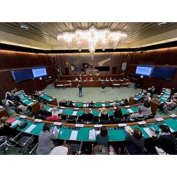 Il convegno organizzato nell'aula consiliare dalla Crpo Fvg - Il convegno organizzato nell'aula consiliare dalla Crpo Fvg