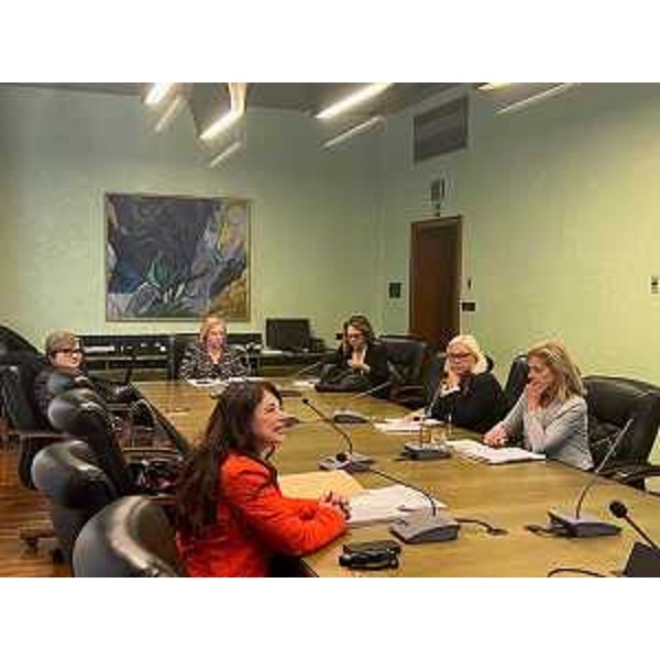 La seduta della Conferenza nazionale delle Presidenti regionali delle Cpo di Regioni e Province autonome a Trieste - La seduta della Conferenza nazionale delle Presidenti regionali delle Cpo di Regioni e Province autonome a Trieste