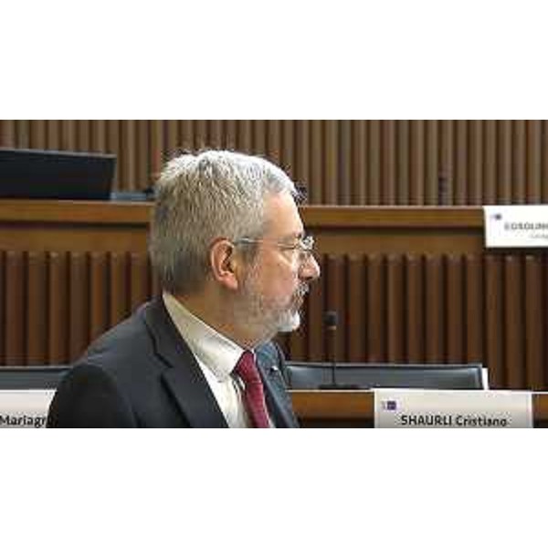 Furio Honsell (Open Sinistra Fvg) - Furio Honsell (Open Sinistra Fvg)