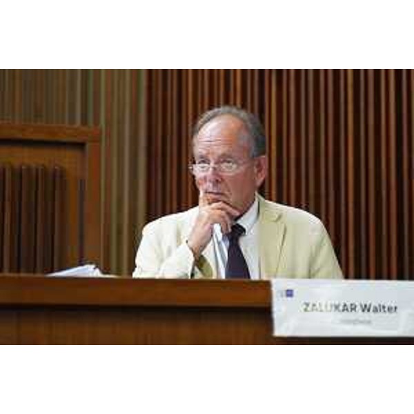 Walter Zalukar (Gruppo Misto) - Walter Zalukar (Gruppo Misto)