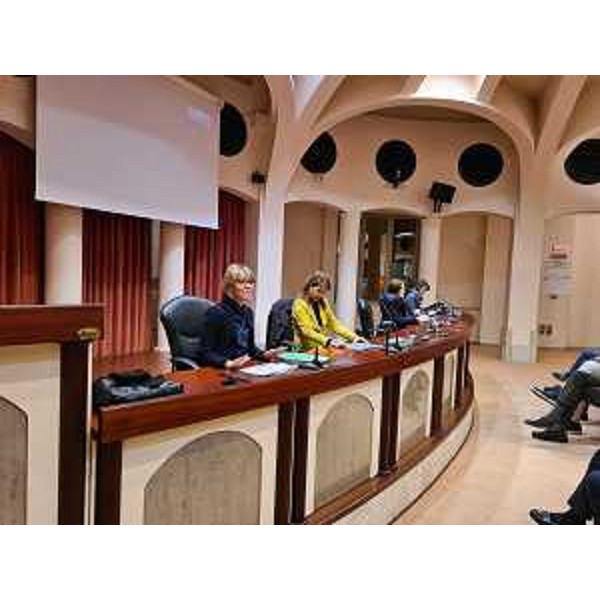 L'assessore alle Finenze Barbara Zilli durante l'incontro sul Pnrr con i sindaci del Friuli occidentale a Pordenone - L'assessore alle Finenze Barbara Zilli durante l'incontro sul Pnrr con i sindaci del Friuli occidentale a Pordenone