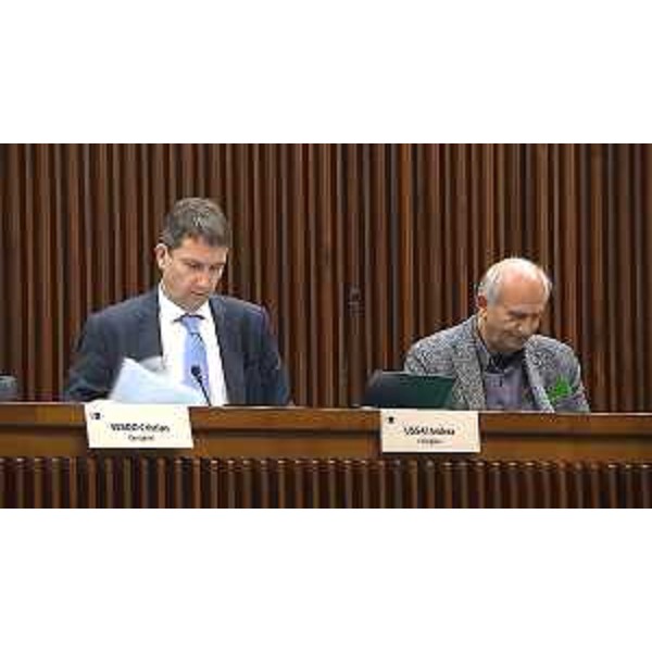 Andrea Ussai (M5S) e Alfonso Singh (Lega) - Andrea Ussai (M5S) e Alfonso Singh (Lega)