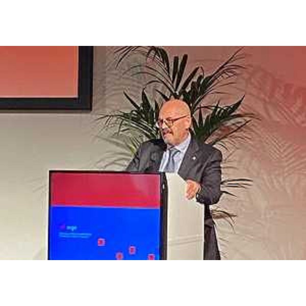 L'assessore regionale ai Servizi generali e ai servizi informativi Sebastiano Callari interviene al corso nazionale Aigo al Molo IV di Trieste - L'assessore regionale ai Servizi generali e ai servizi informativi Sebastiano Callari interviene al corso nazionale Aigo al Molo IV di Trieste