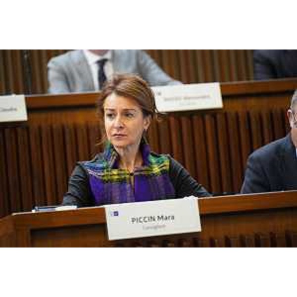 Mara Piccin (FI) - Mara Piccin (FI)