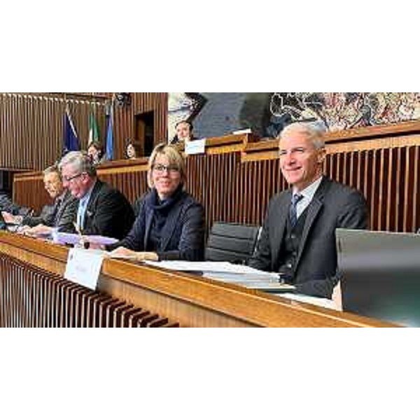 L'assessore regionale alle Finanze, Barbara Zilli - L'assessore regionale alle Finanze, Barbara Zilli