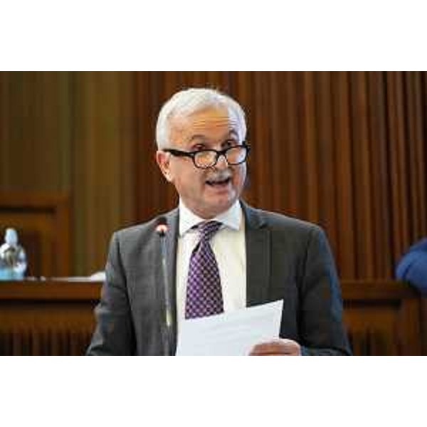 Giuseppe Sibau (Progetto Fvg/Ar) - Giuseppe Sibau (Progetto Fvg/Ar)