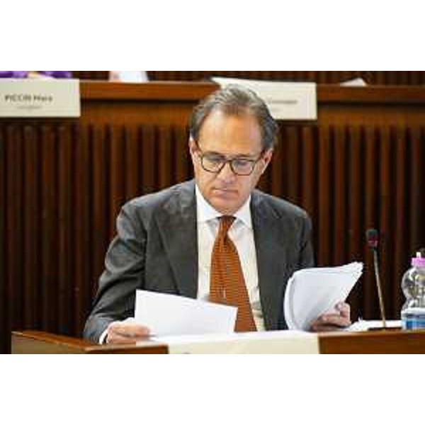 Mauro Di Bert (Progetto Fvg/Ar) - Mauro Di Bert (Progetto Fvg/Ar)