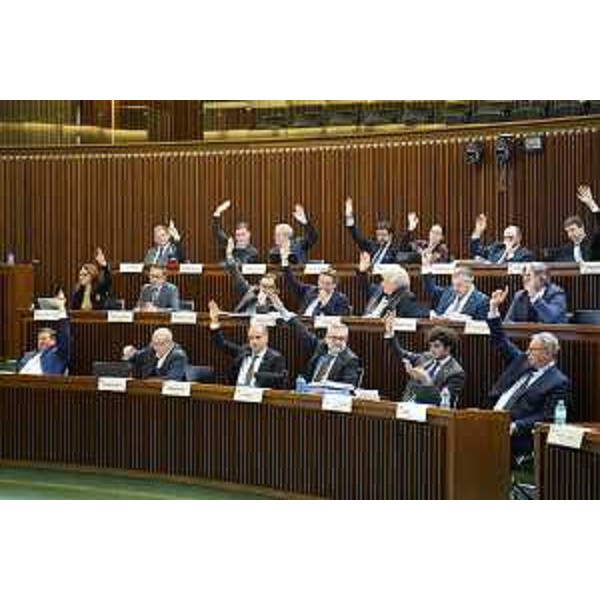 Votazioni in Aula - Votazioni in Aula