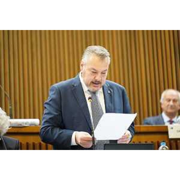 Diego Bernardis (Lega) - Diego Bernardis (Lega)