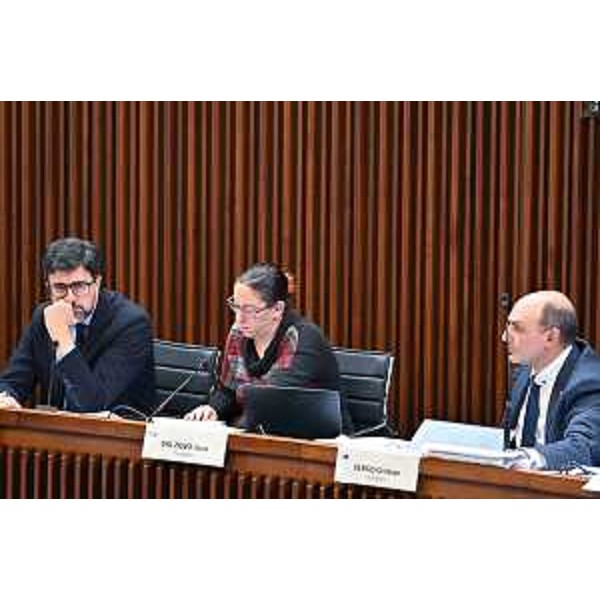 I pentastellati Andea Ussai, Ilaria Dal Zovo e Cristian Sergo - I pentastellati Andea Ussai, Ilaria Dal Zovo e Cristian Sergo