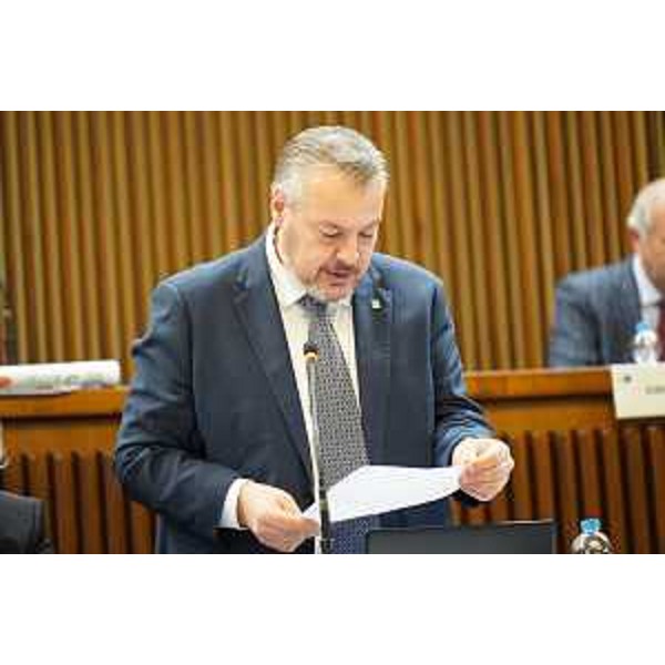 Diego Bernardis (Lega) - Diego Bernardis (Lega)