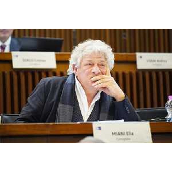 Elia Miani (Lega) - Elia Miani (Lega)