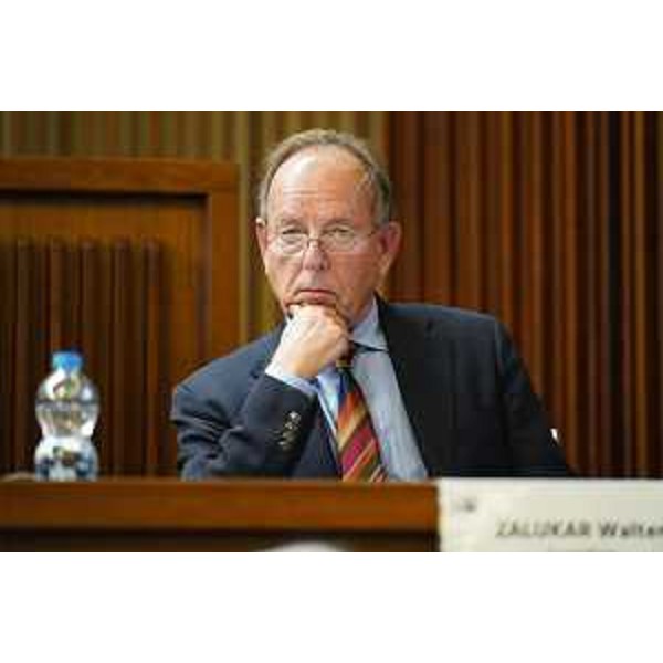 Walter Zalukar (Gruppo Misto) - Walter Zalukar (Gruppo Misto)