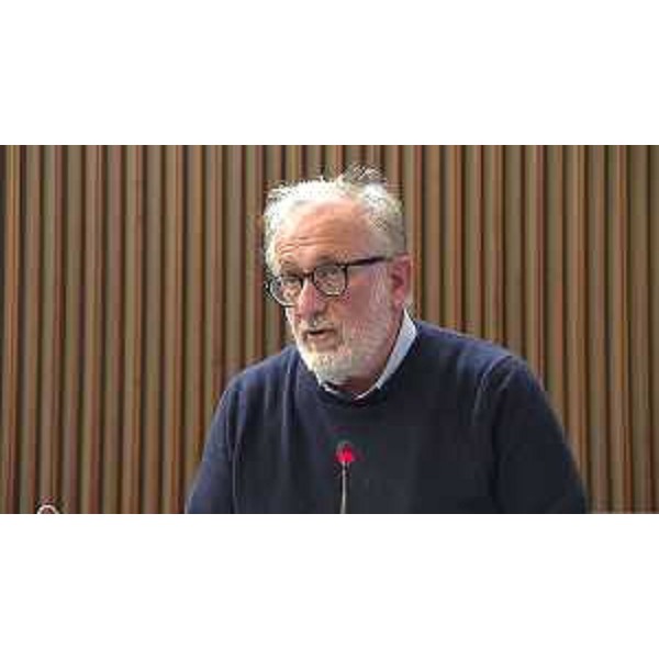 Emanuele Zanon (Polo Liberale) - Emanuele Zanon (Polo Liberale)