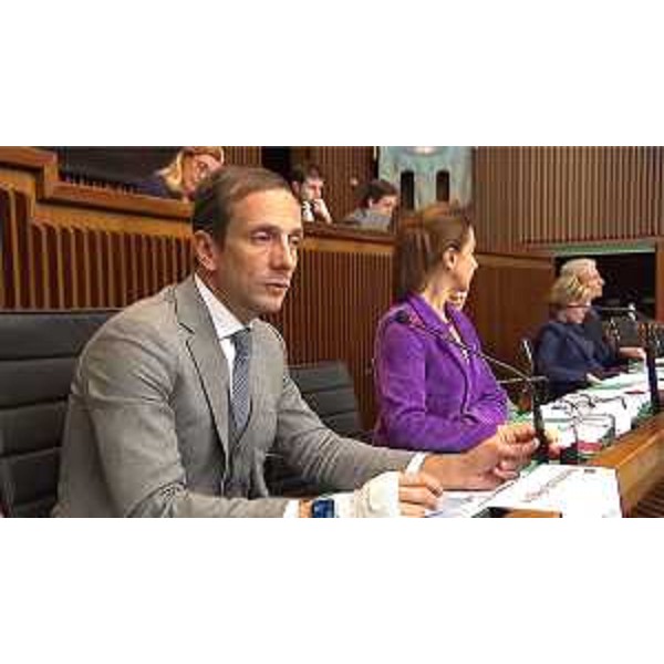 Il governatore Fvg, Massimiliano Fedriga, in IV Commissione - Il governatore Fvg, Massimiliano Fedriga, in IV Commissione