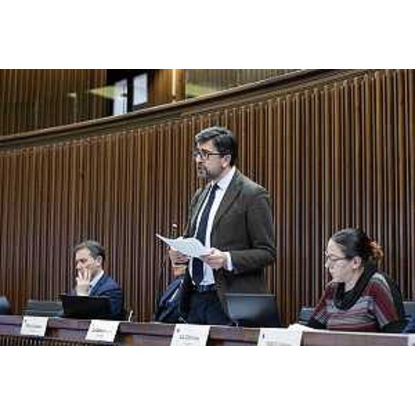 Mauro Capozzella (M5S) - Mauro Capozzella (M5S)