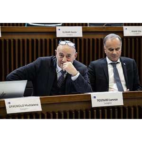 Lorenzo Tosolini (Lega) - Lorenzo Tosolini (Lega)