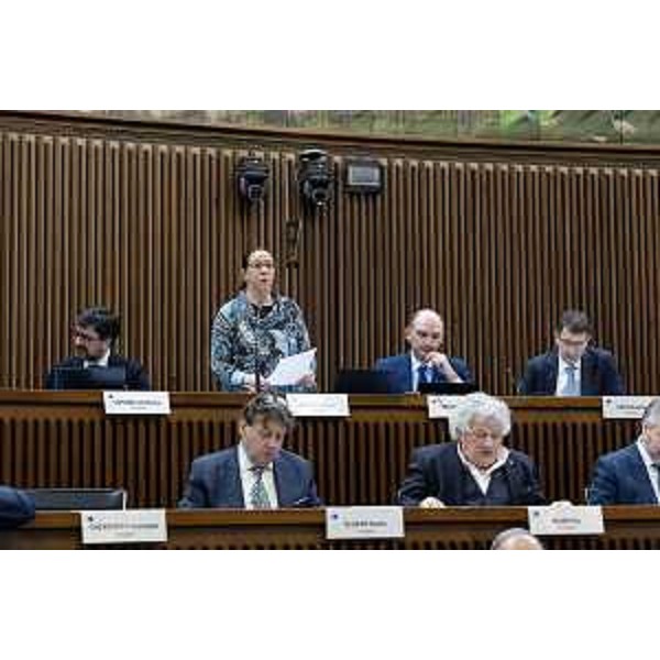 Un intervento di Ilaria Dal Zovo dai banchi del M5S. Sotto, Danilo Slokar ed Elia Miani della Lega - Un intervento di Ilaria Dal Zovo dai banchi del M5S. Sotto, Danilo Slokar ed Elia Miani della Lega