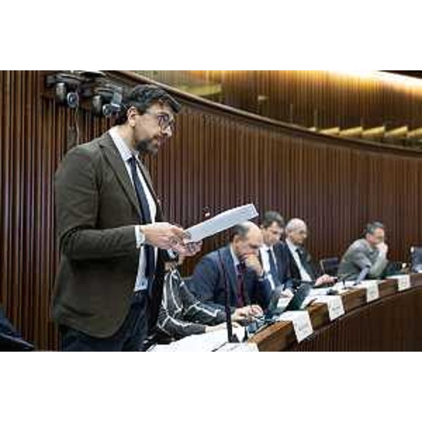 Mauro Capozzella (M5S) - Mauro Capozzella (M5S)