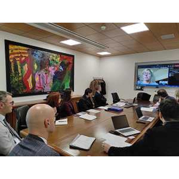 Un momento dell'assemblea ordinaria e straordinaria dei soci di Fvg Plus alla presenza, in videoconferenza, dell'assessore regionale alle Finanze Barbara Zilli - Un momento dell'assemblea ordinaria e straordinaria dei soci di Fvg Plus alla presenza, in videoconferenza, dell'assessore regionale alle Finanze Barbara Zilli