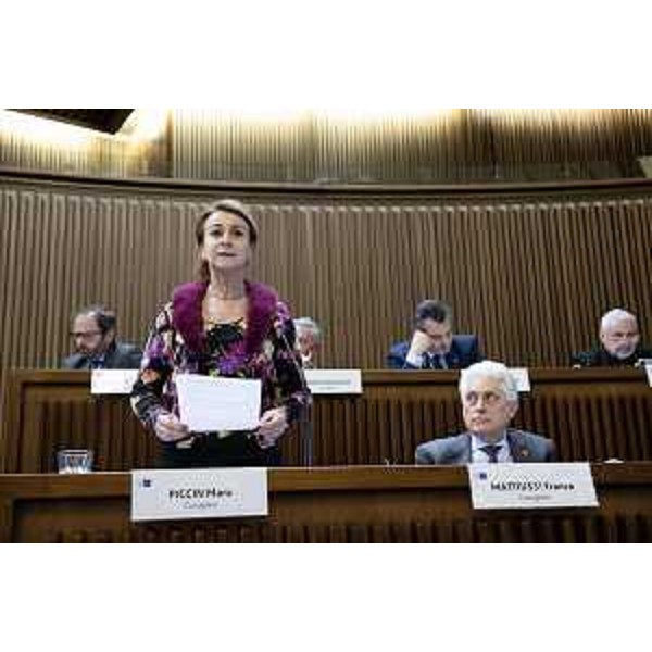 Mara Piccin (FI) - Mara Piccin (FI)