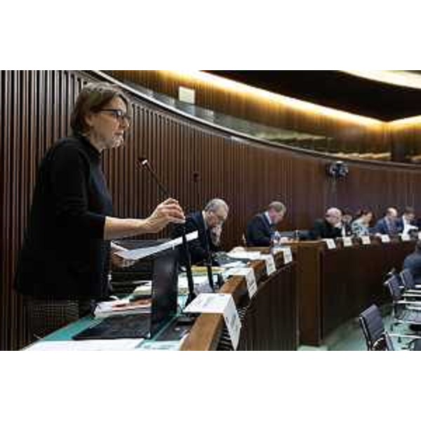 Chiara Da Giau (Pd) - Chiara Da Giau (Pd)