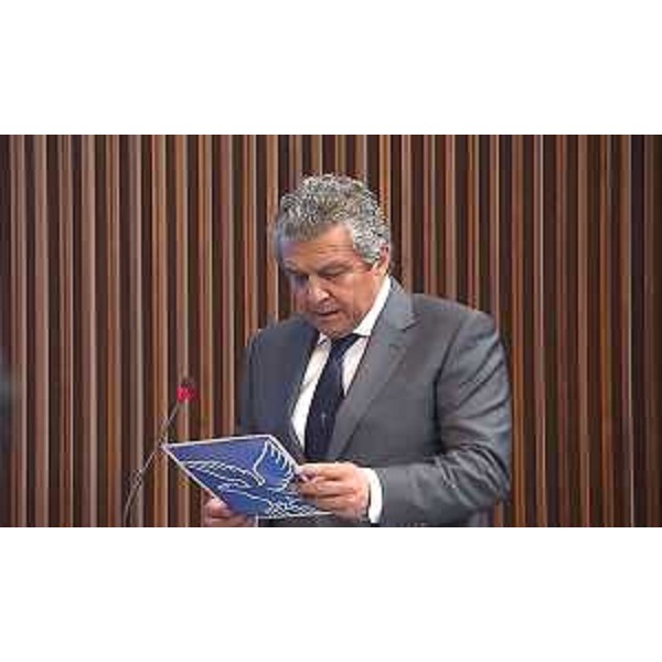 Francesco Martines (Pd) - Francesco Martines (Pd)