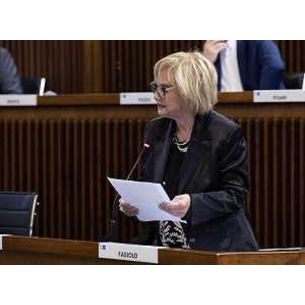 Laura Fasiolo (Partito democratico) - Laura Fasiolo (Partito democratico)