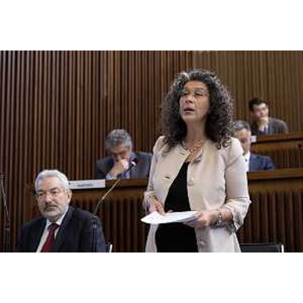 Serena Pellegrino (Alleanza Verdi Sinistra) - Serena Pellegrino (Alleanza Verdi Sinistra)