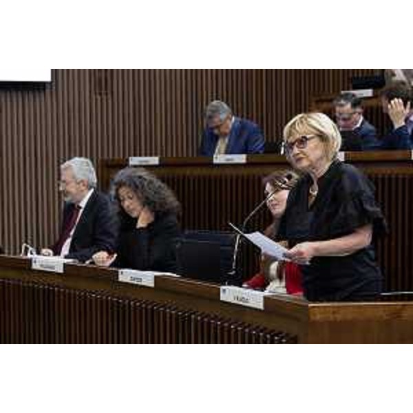 Laura Fasiolo (Partito democratico) - Laura Fasiolo (Partito democratico)